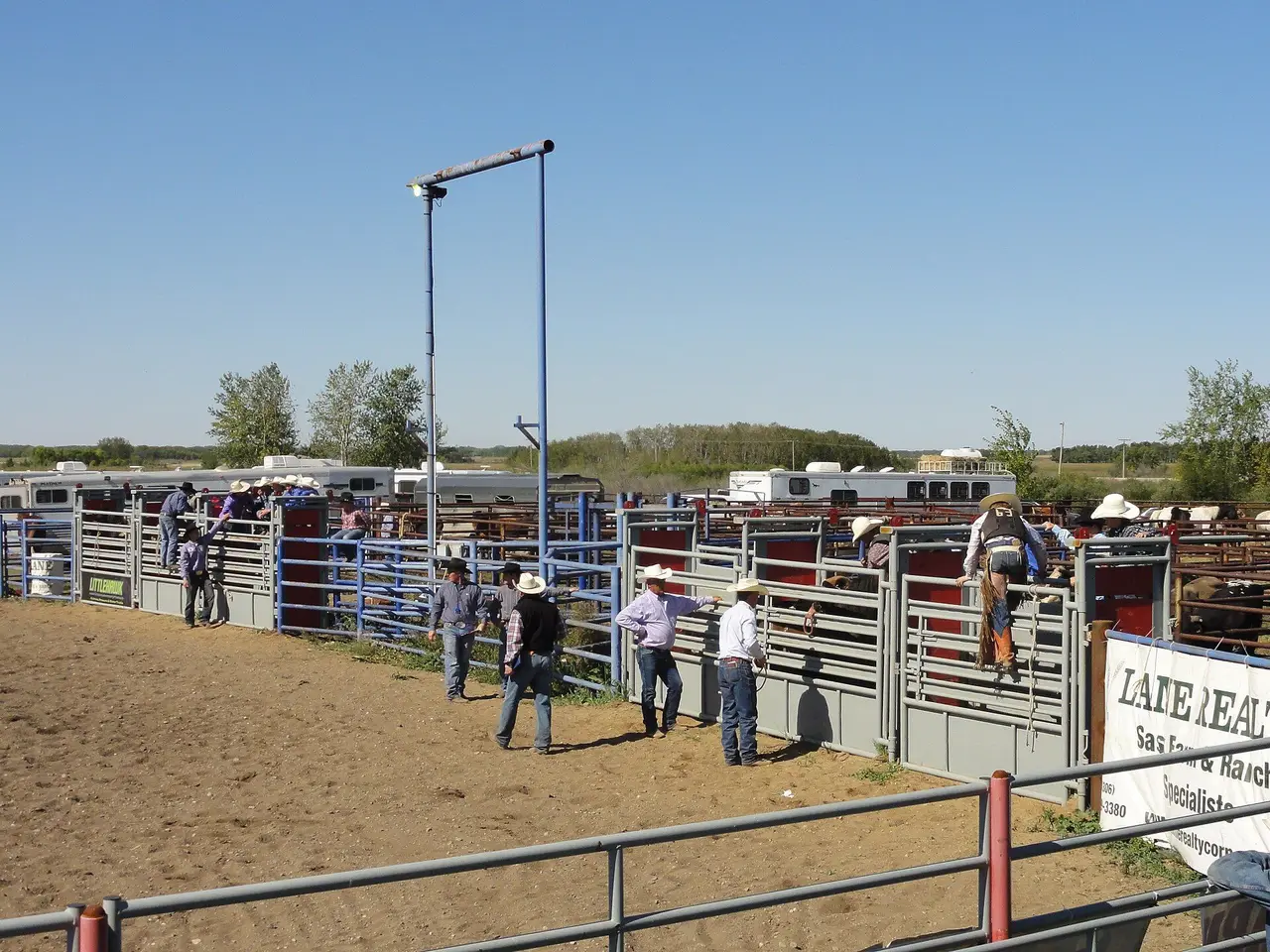 Rodeo bucking chutes and pens, 2013