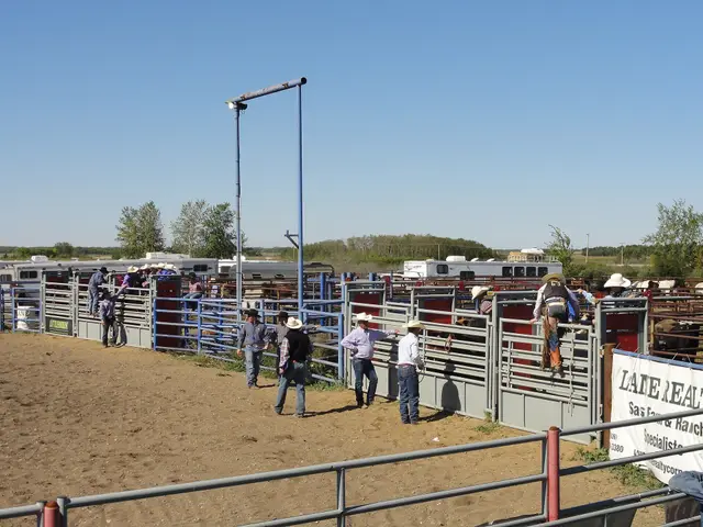 Rodeo bucking chutes and pens