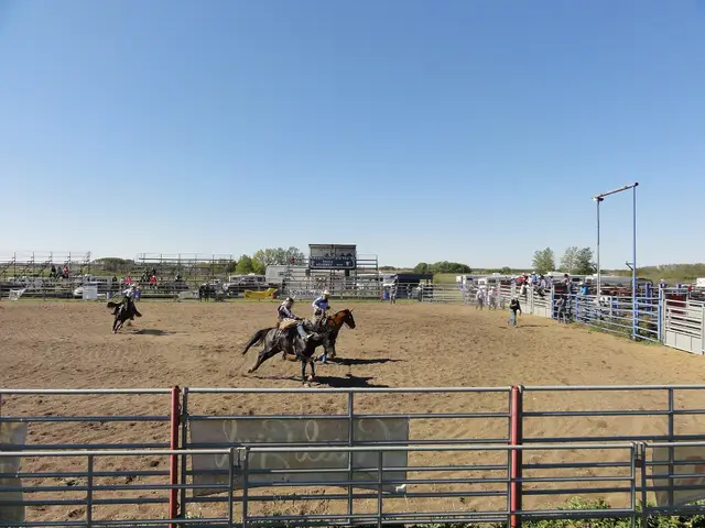 Rodeo at the rodeo grounds