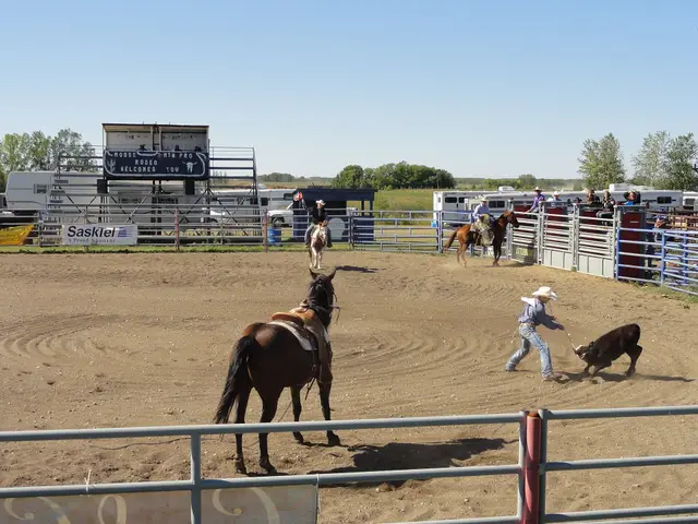 Rodeo arena at the Moose Mountain Pro Rodeo