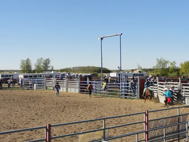 Rodeo bull rider leaving the chute at the rodeo grounds