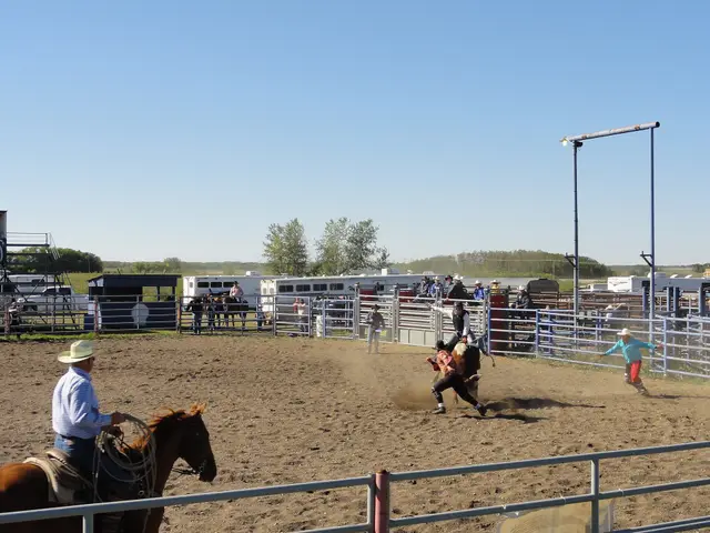 Rodeo in the arena