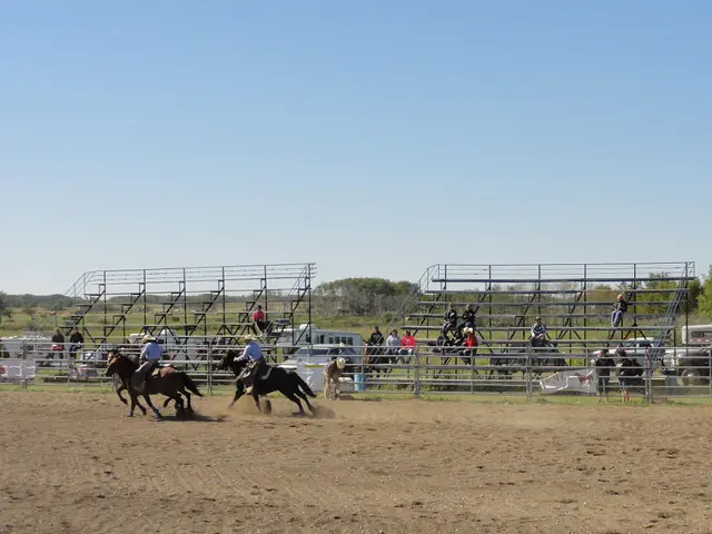 Rodeo riders in the arena