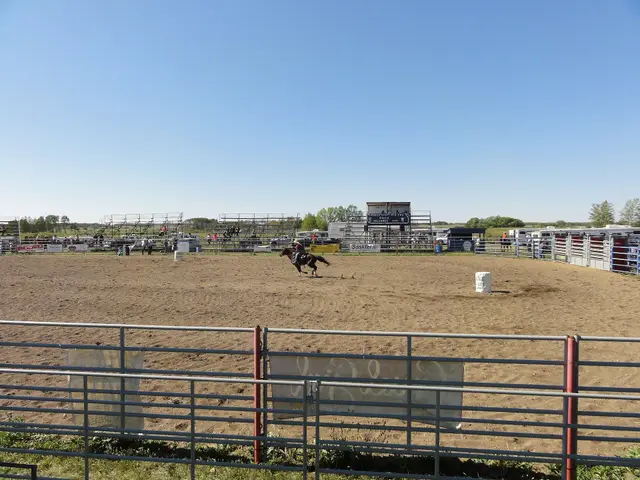 Barrel racing at the rodeo grounds